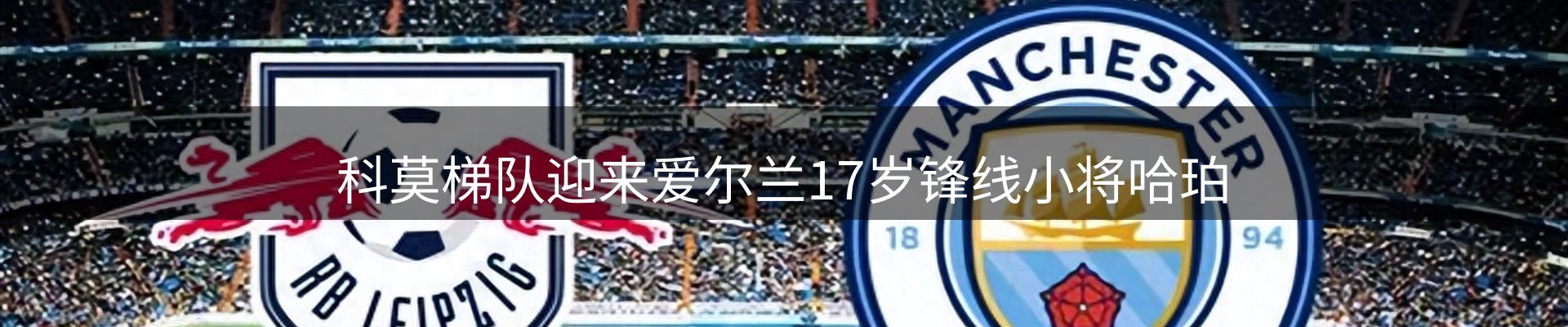 新闻速览