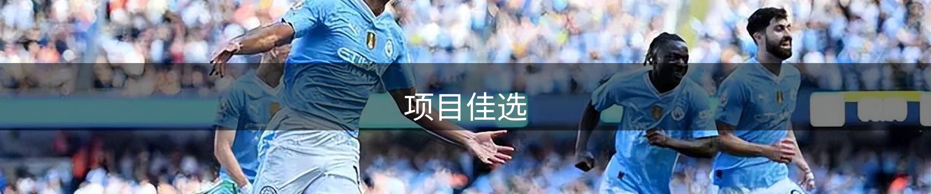 项目佳选